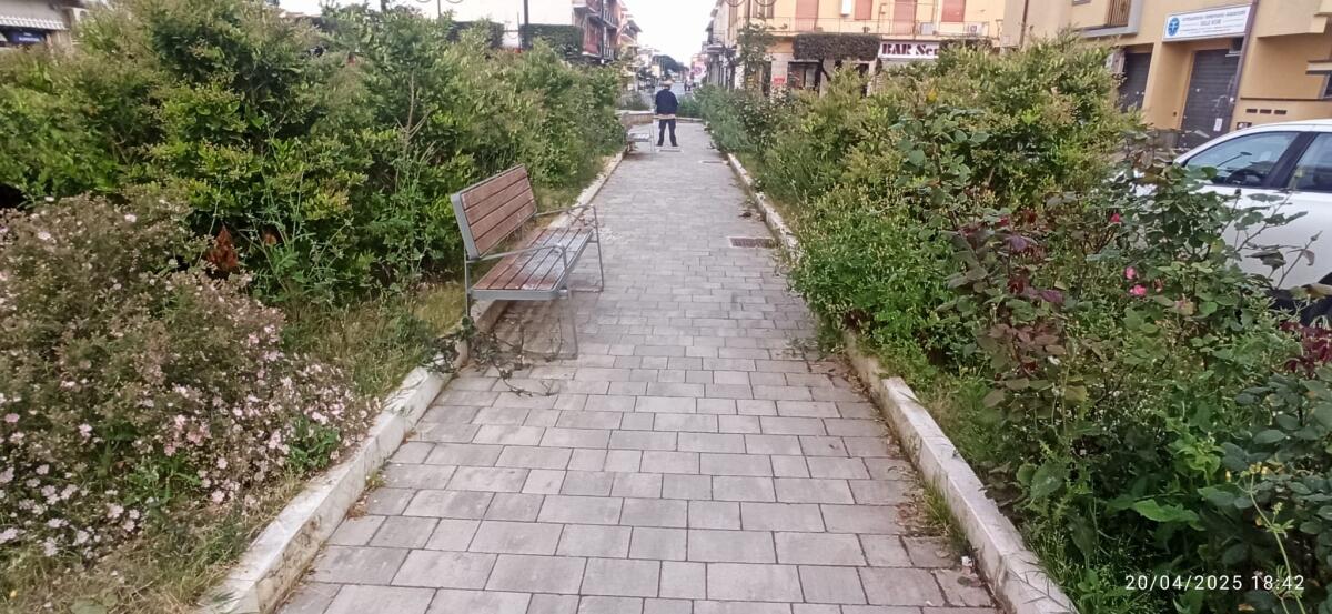 Largo delle Rose, ad Aprilia, in stato di semiabbandono: “erba e siepi alte, scarsa pulizia e bottiglie disseminate ovunque”. - 