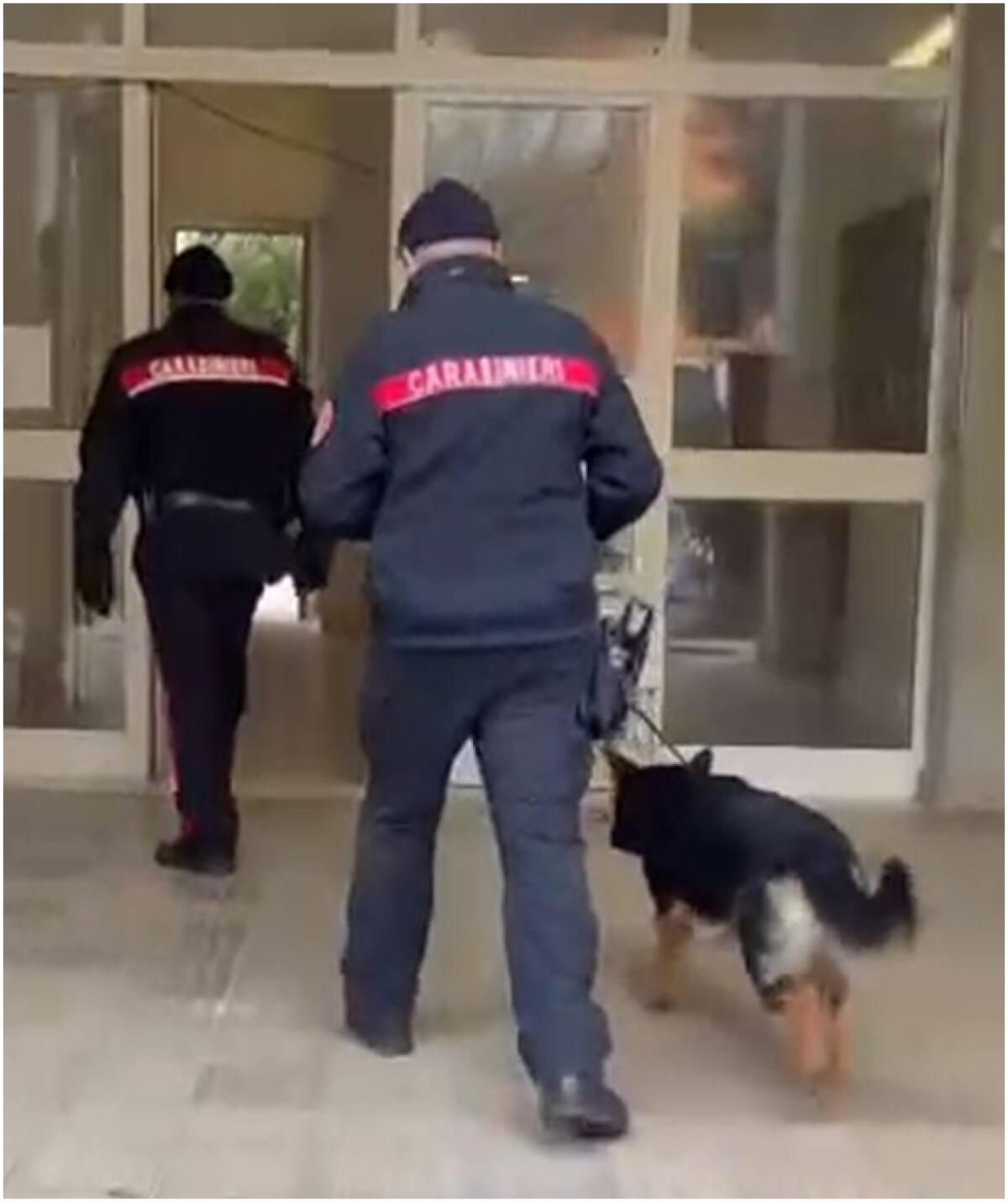 Controlli contro lo spaccio ad Aprilia tra Toscanini e via Lazio: 8 denunce, sequestrate armi, droga e soldi - 