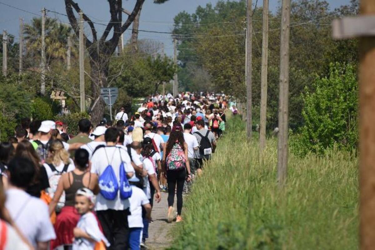 Entusiasmo e passione per la 51esima edizione della Pedagnalonga - 