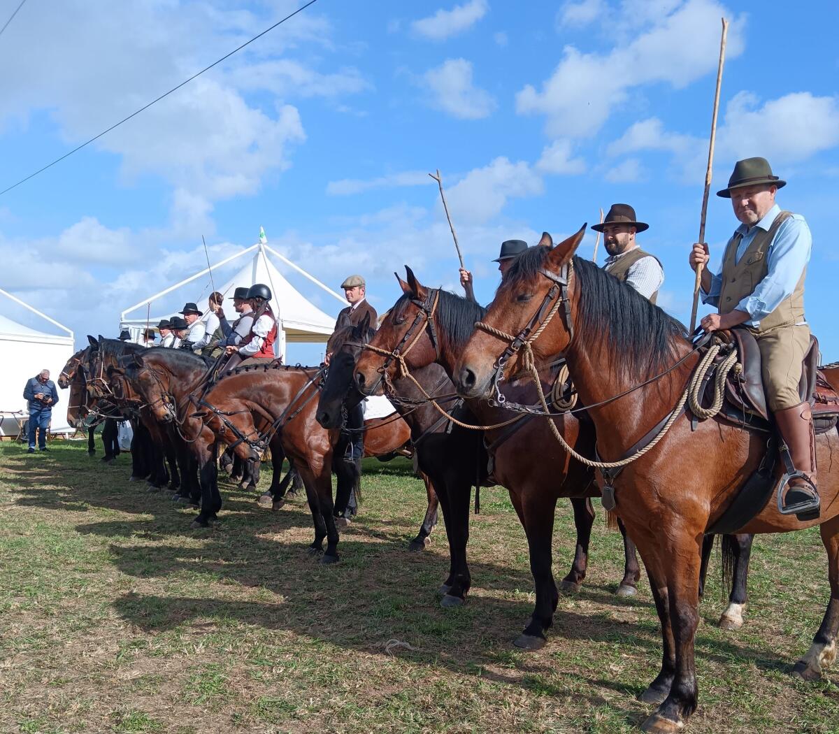 Fine settimana con la Mostra di Campoverde: tanti gli appuntamenti in programma per gli appassionati di un mondo che non finisce mai di stupire - 
