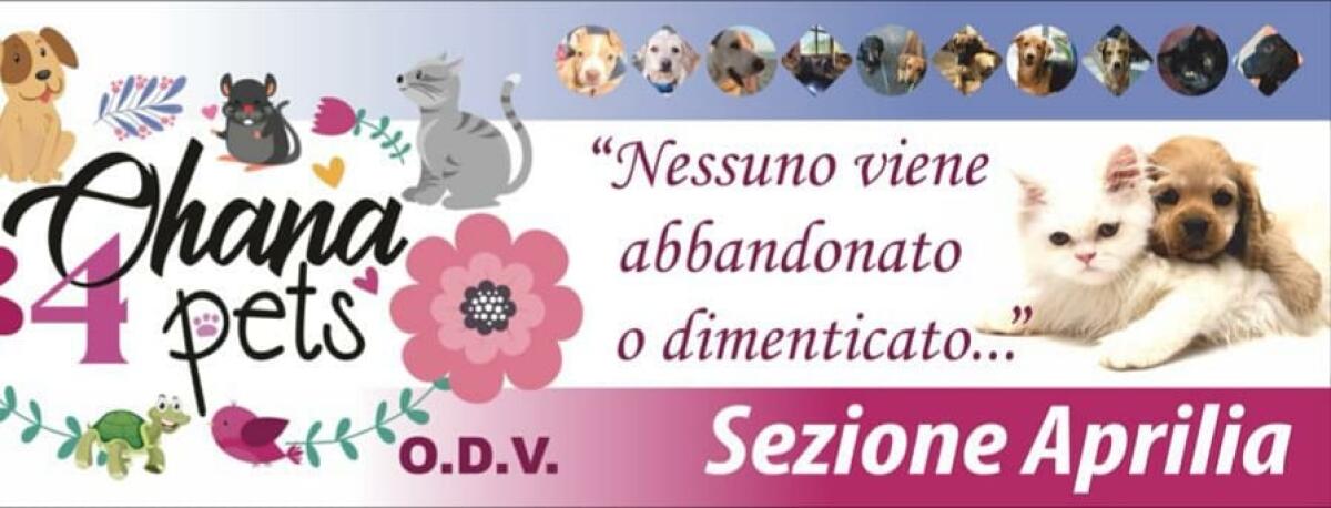 L’associazione animalista “Ohana4Pets” di Aprilia cerca nuovi volontari. Aperti i tesseramenti per il nuovo anno. - 
