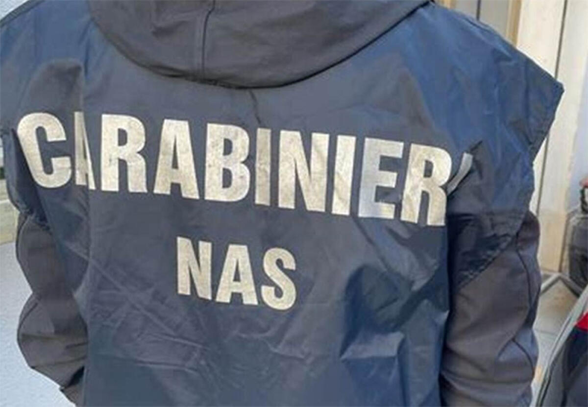 Controlli del Nas di Latina: due ristoranti chiusi per carenze igieniche-sanitarie, multe per oltre 3.500 euro - 