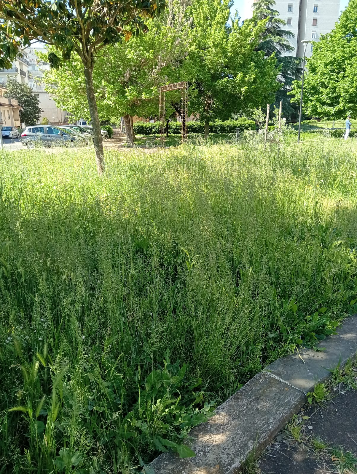 il parco in zona grattacielo