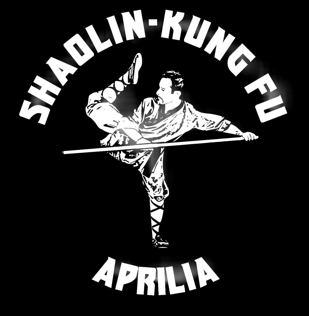 Shaolin Kung Fu, per gli atleti di Aprilia un oro, due argento ed un bronzo alla “World Champhionship Cup C.k.a.". - 