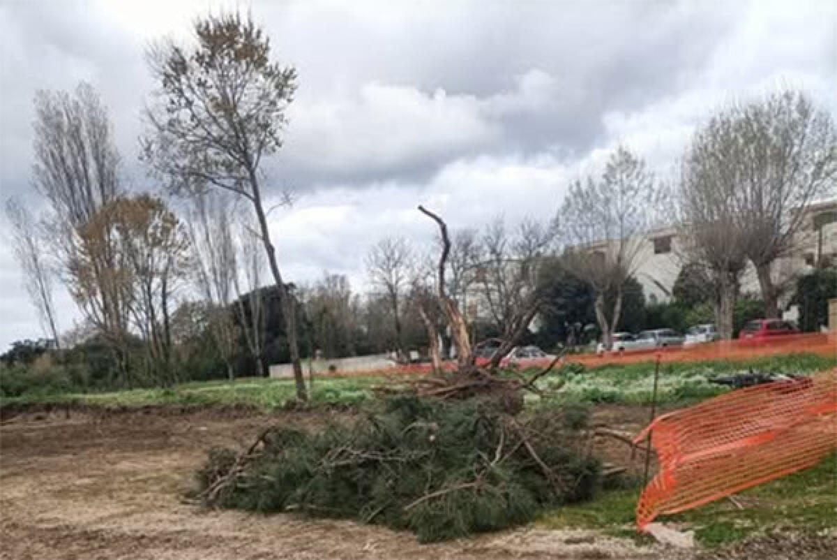 Dubbi sulla riqualificazione dell’area verde di Campo Ascolano, a Pomezia: i 5 Stelle presentano un’interrogazione. - 