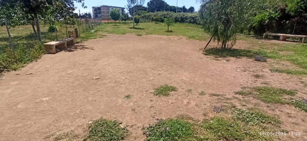 Aprilia - Ragusa: “Bau park in stato di abbandono” - 