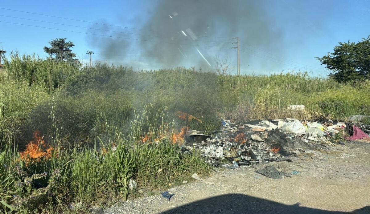 Aprilia nel degrado, il Pd: "Serve piano di interventi urgenti in vista dell’estate" - 