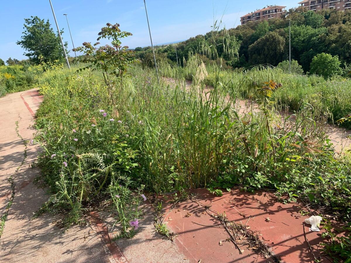 Parco della Crocetta a Pomezia, il M5S: “un cantiere abbandonato, lavori fermi da mesi”. - 