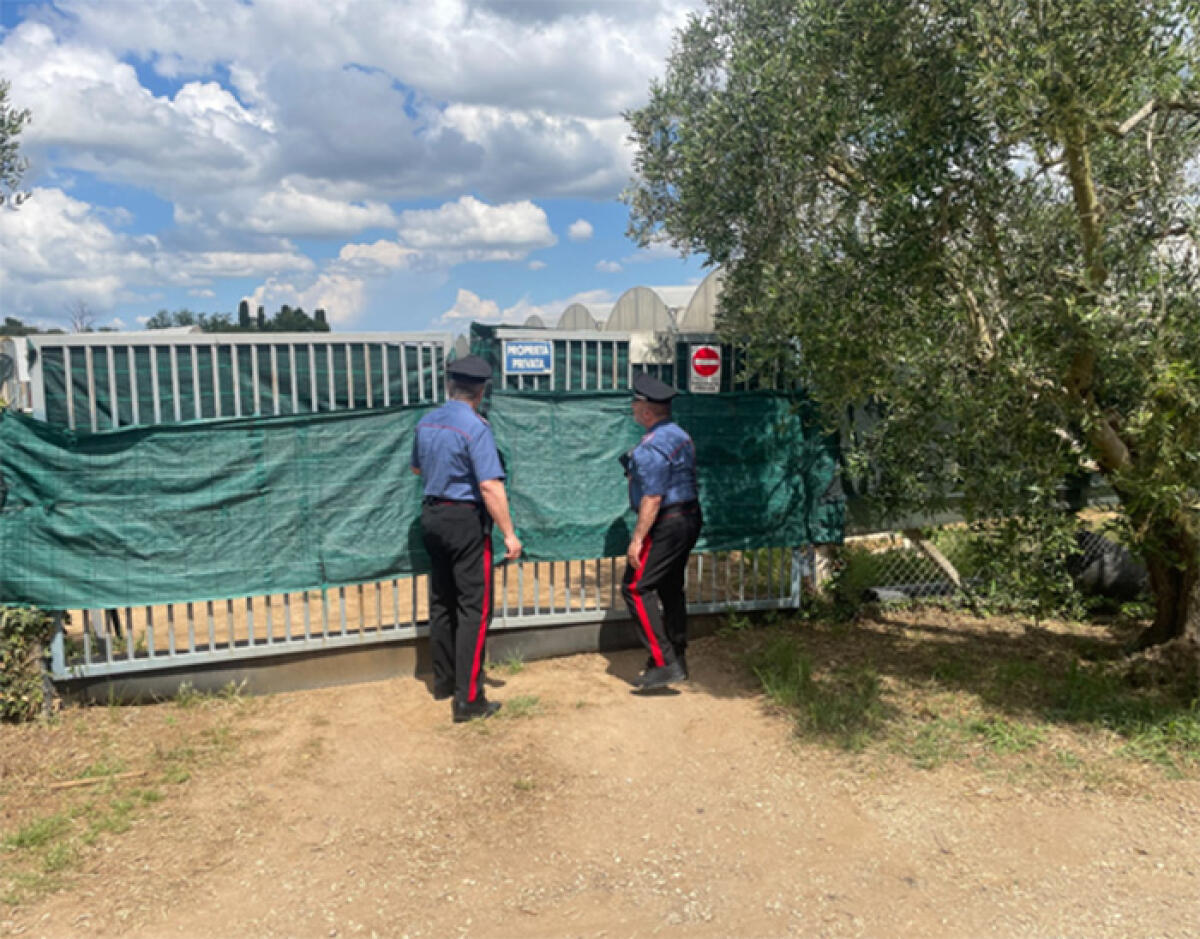 37mila euro di multa ad Aprilia ad un imprenditore agricolo. Otto dei suoi lavoratori non erano regolari. - 