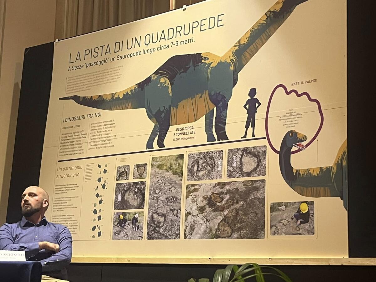 Impronte di dinosauro a Sezze: "Un patrimonio scientifico di valore mondiale" - 