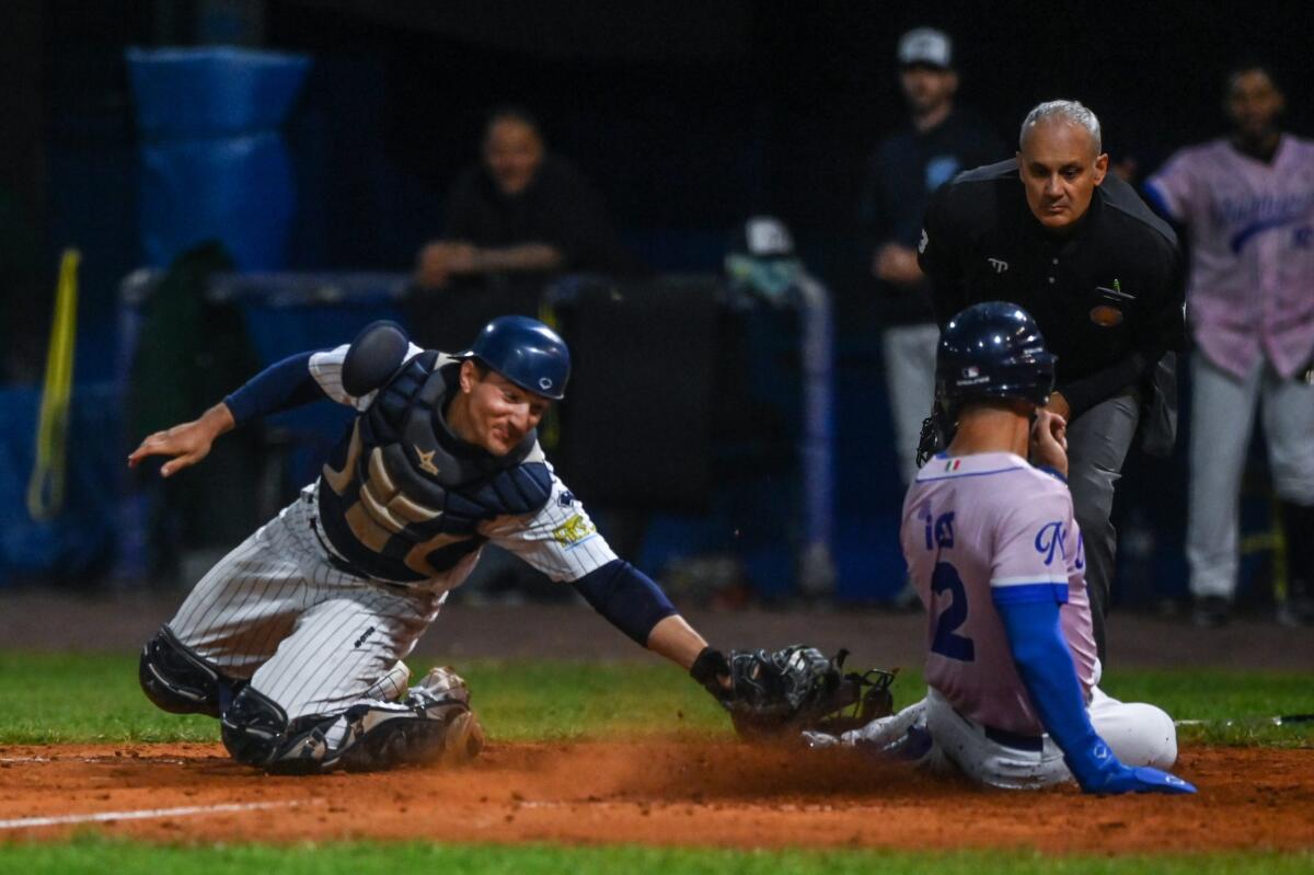 Serie A Baseball: colpo del Nettuno contro la capolista Parma Clima. - 