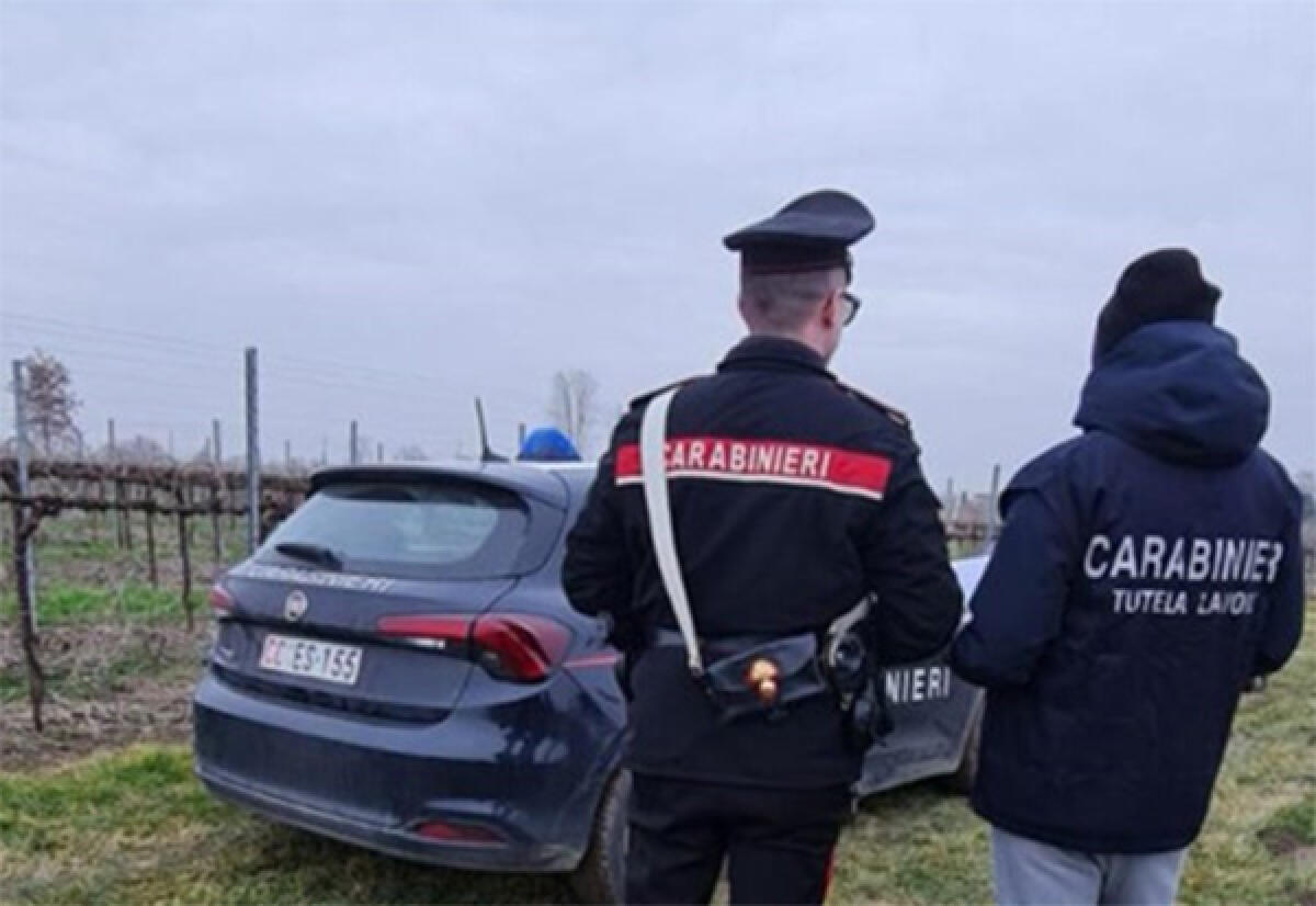Ispezione dei Carabinieri un’azienda agricola pontina: segnalazione e ammenda per il presidente del Cda. - 
