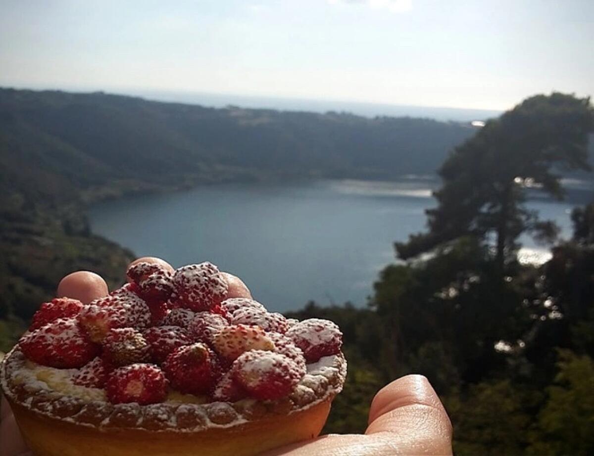 A Nemi l’1 ed il 2 Giugno la “Sagra delle Fragole” e la “Mostra dei fiori”. Un evento che celebra 100 anni! - 