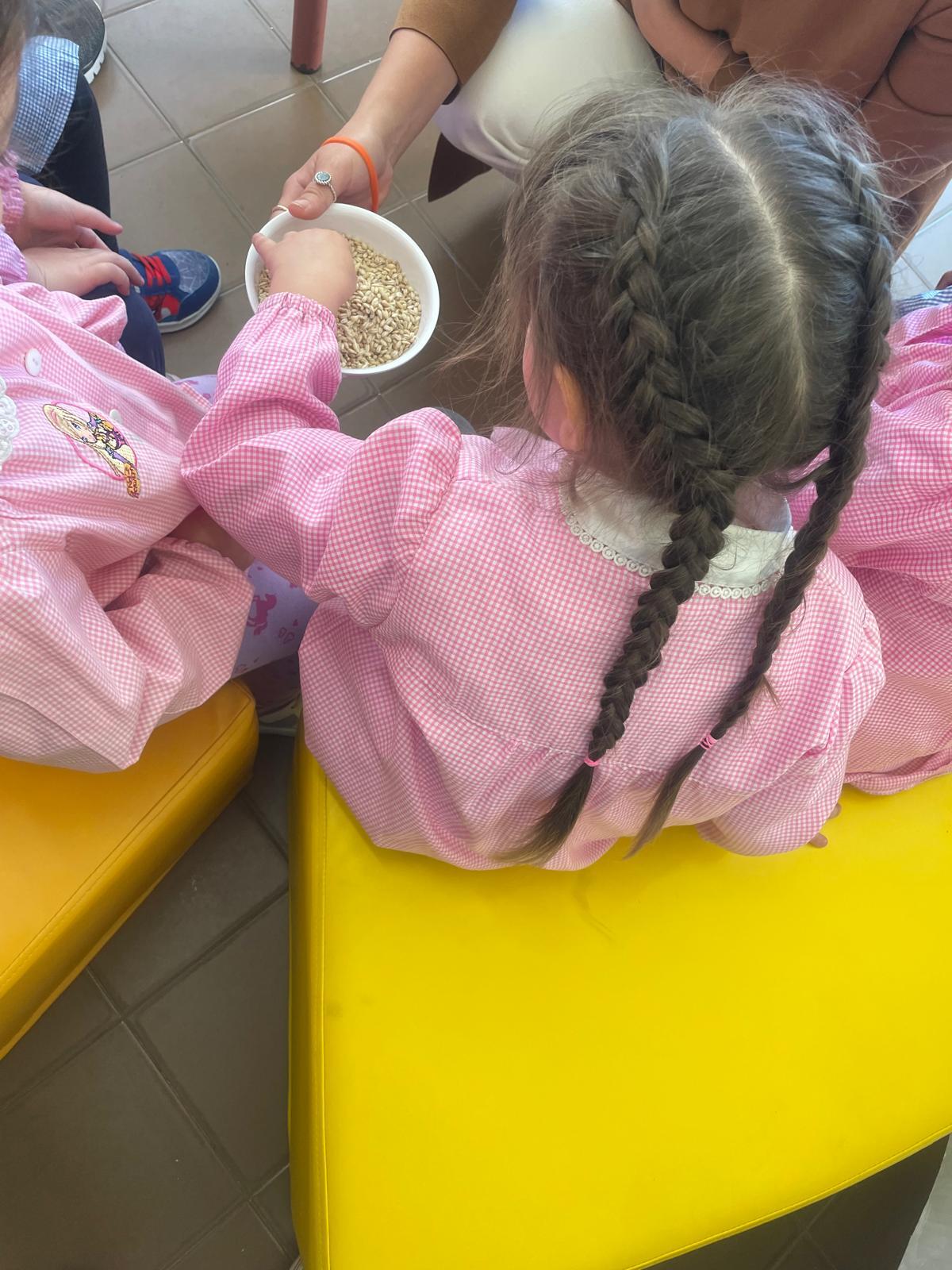 Mense, con “Chicchi dal mondo” i bambini scoprono i cereali - 