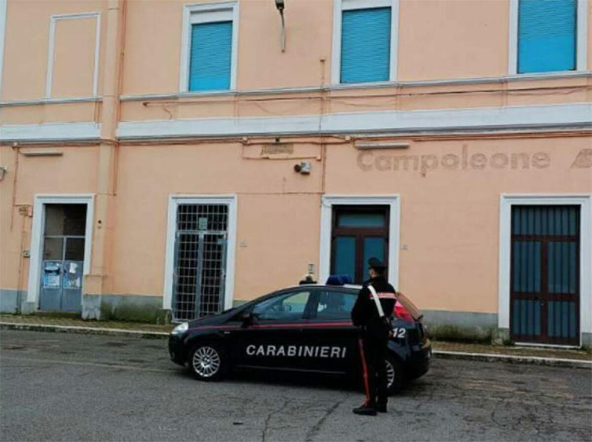 Litiga e strattona controllore e carabinieri, disagi su un treno a Campoleone - 