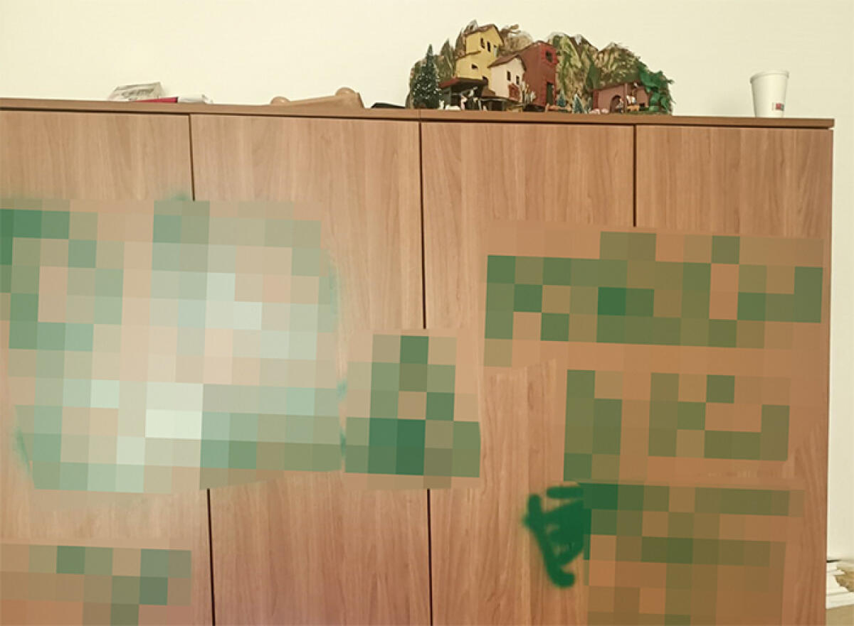 Vandali in azione a Cisterna, al centro anziani “Leonardi” e al centro minori “La Tartaruga”. - 