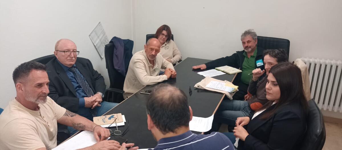 Granchio blu, confronto tra le istituzioni a Latina per gestire l'invasione - 