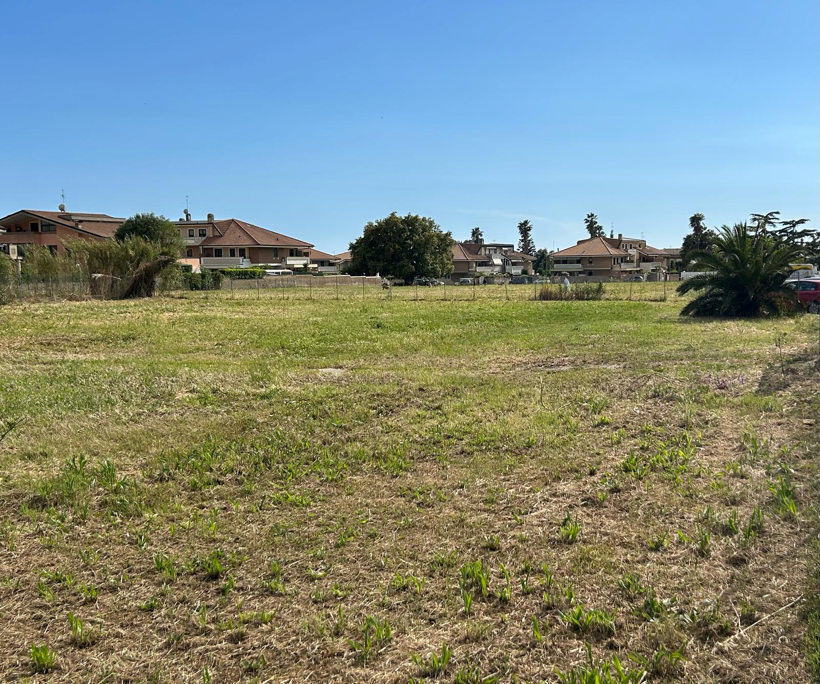 il parco di via delle Bouganville, a Lavinio