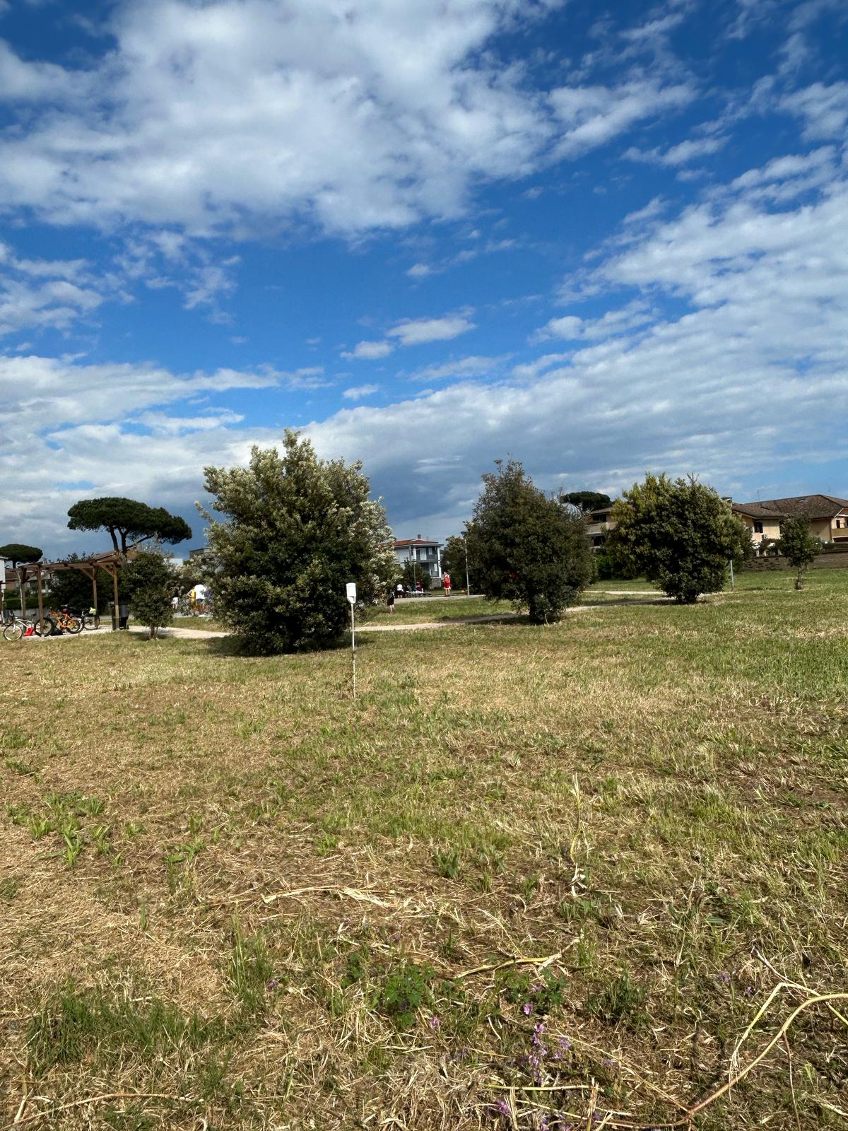 il parco di via delle Bouganville, a Lavinio