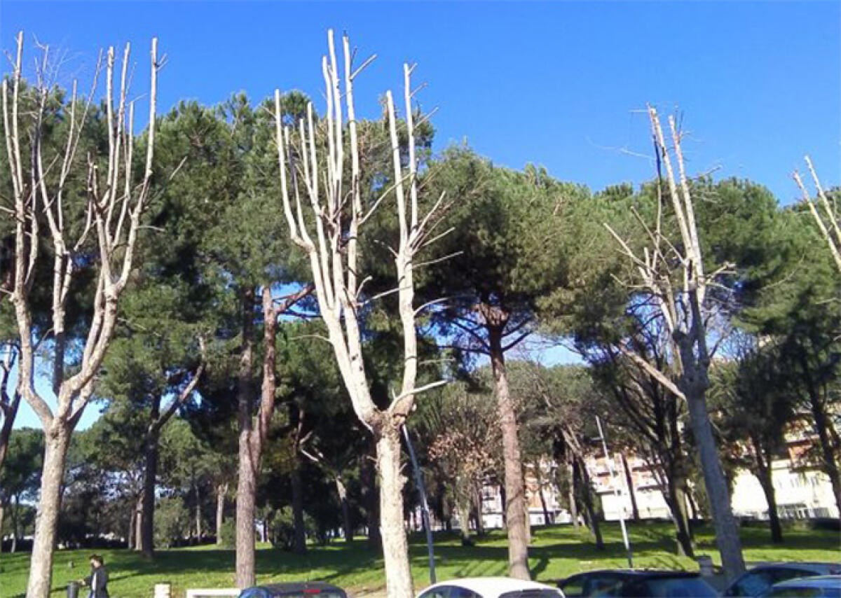 Al Parco Falcone-Borsellino il saggio di fine anno dell’Asd Ginnastica Aprilia. - 