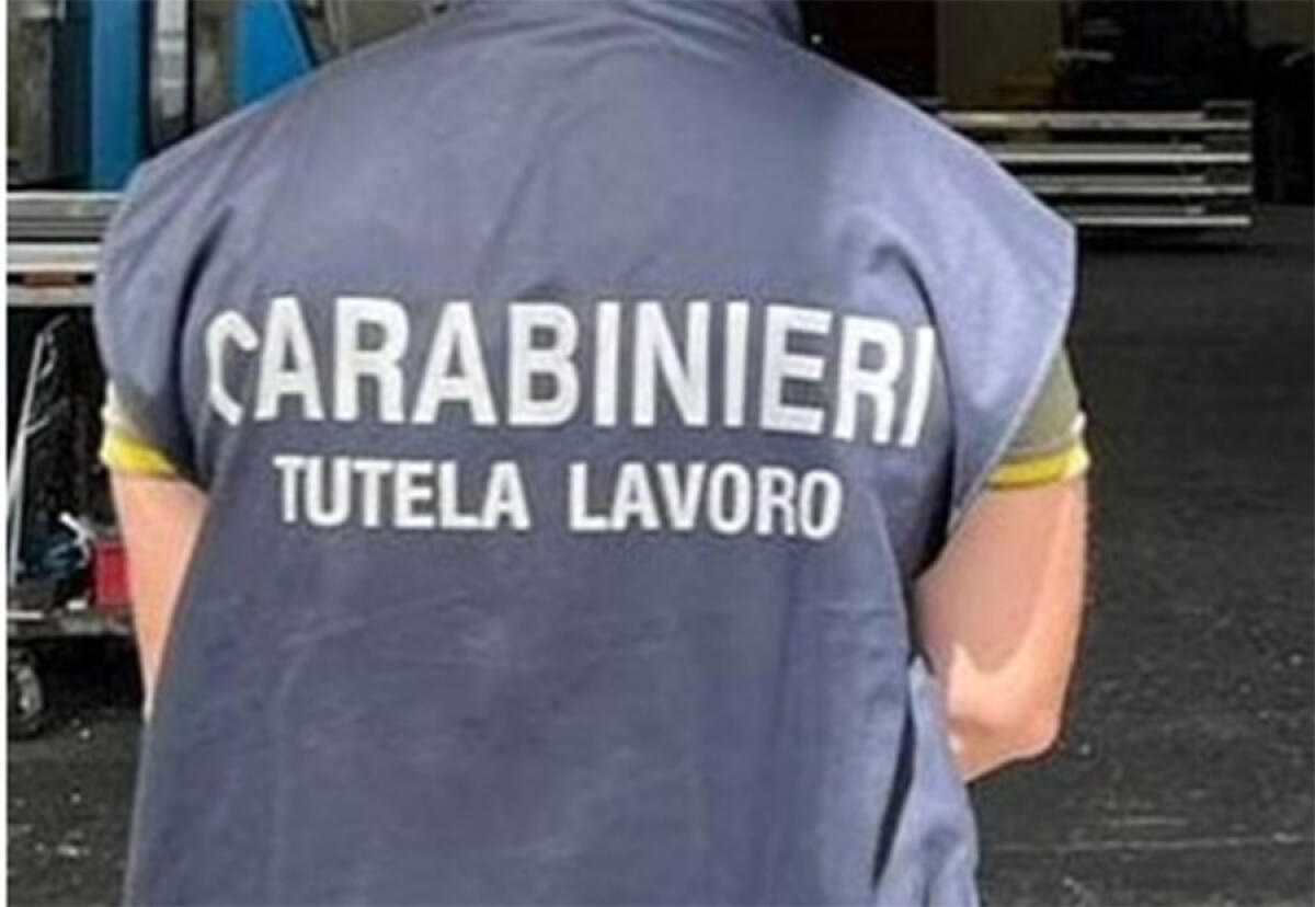 Controlli in un bar di Latina e in un'azienda agricola di Pontinia, multe e denunce - 
