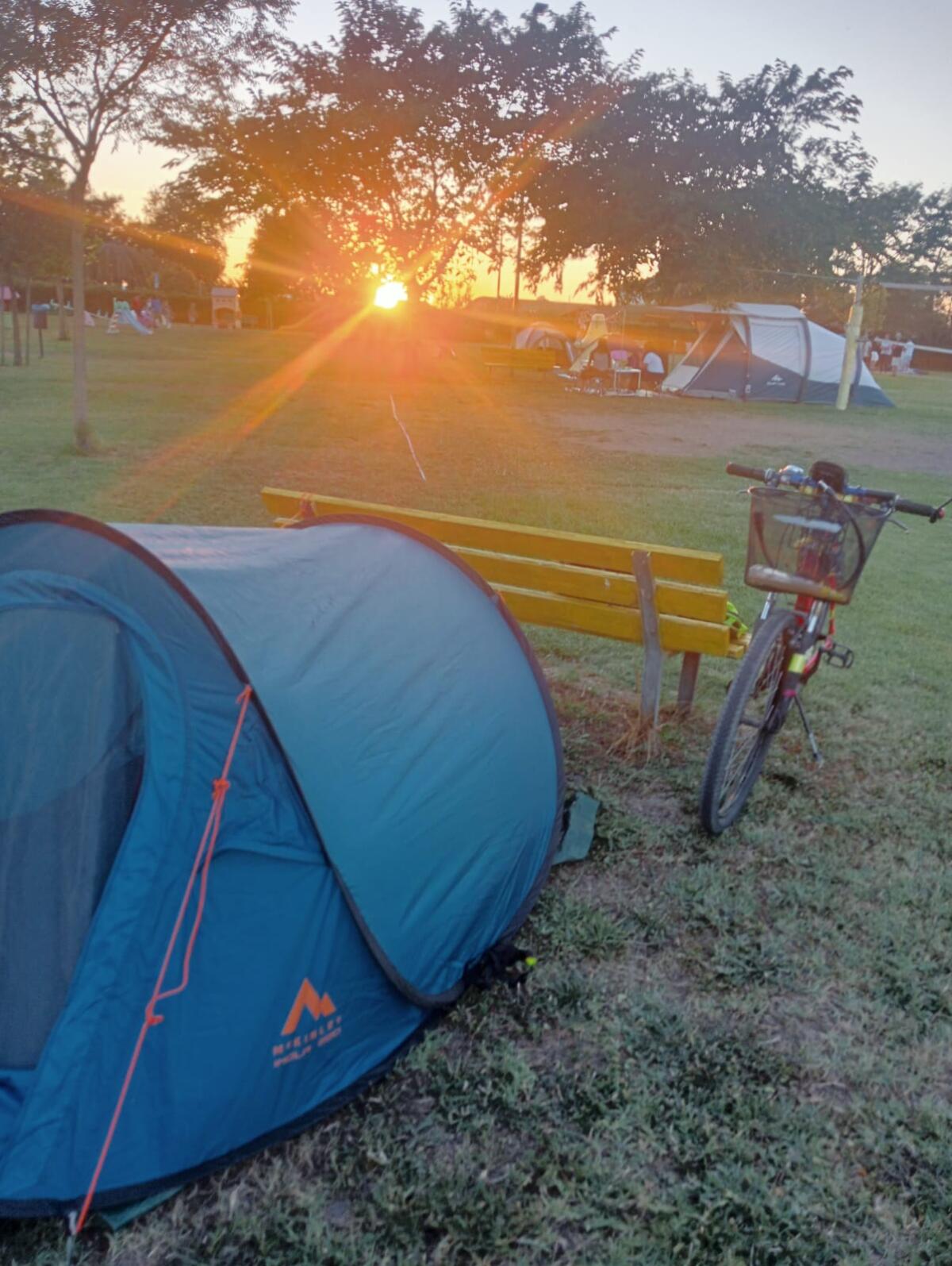 Al parco Selciatella ad Aprilia "La notte delle giovani Marmotte" - 