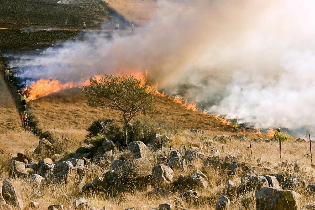 Prevenzione degli incendi boschivi, a Terracina scatta l’ordinanza del sindaco. - 