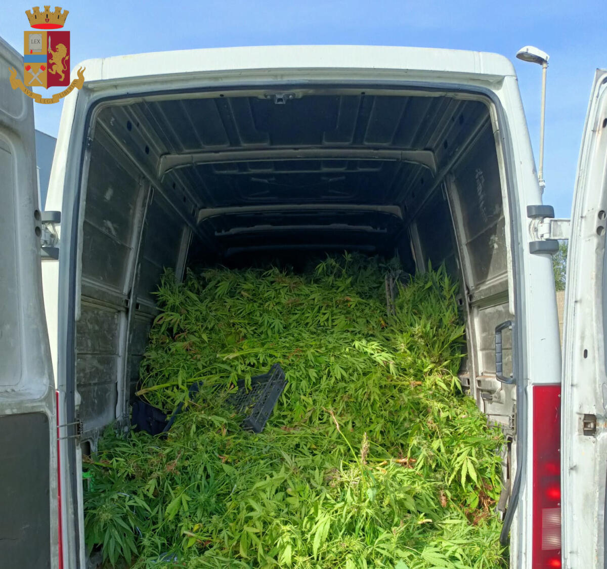 Maxi coltivazione di marijuana a Le Ferriere, tutti condannati - 