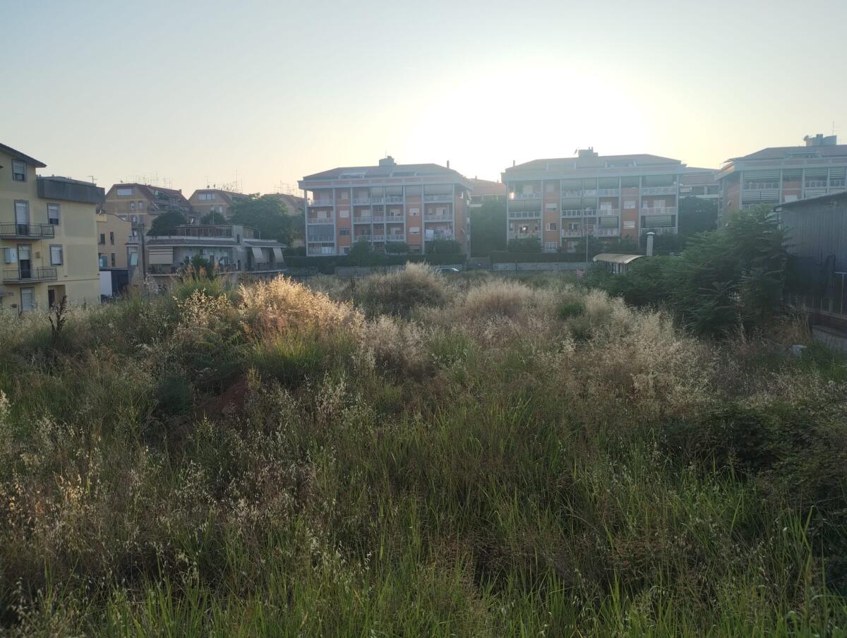 Aprilia, l’area tra via Margherite e via dei Mille “un penoso spettacolo a cielo aperto”. - 