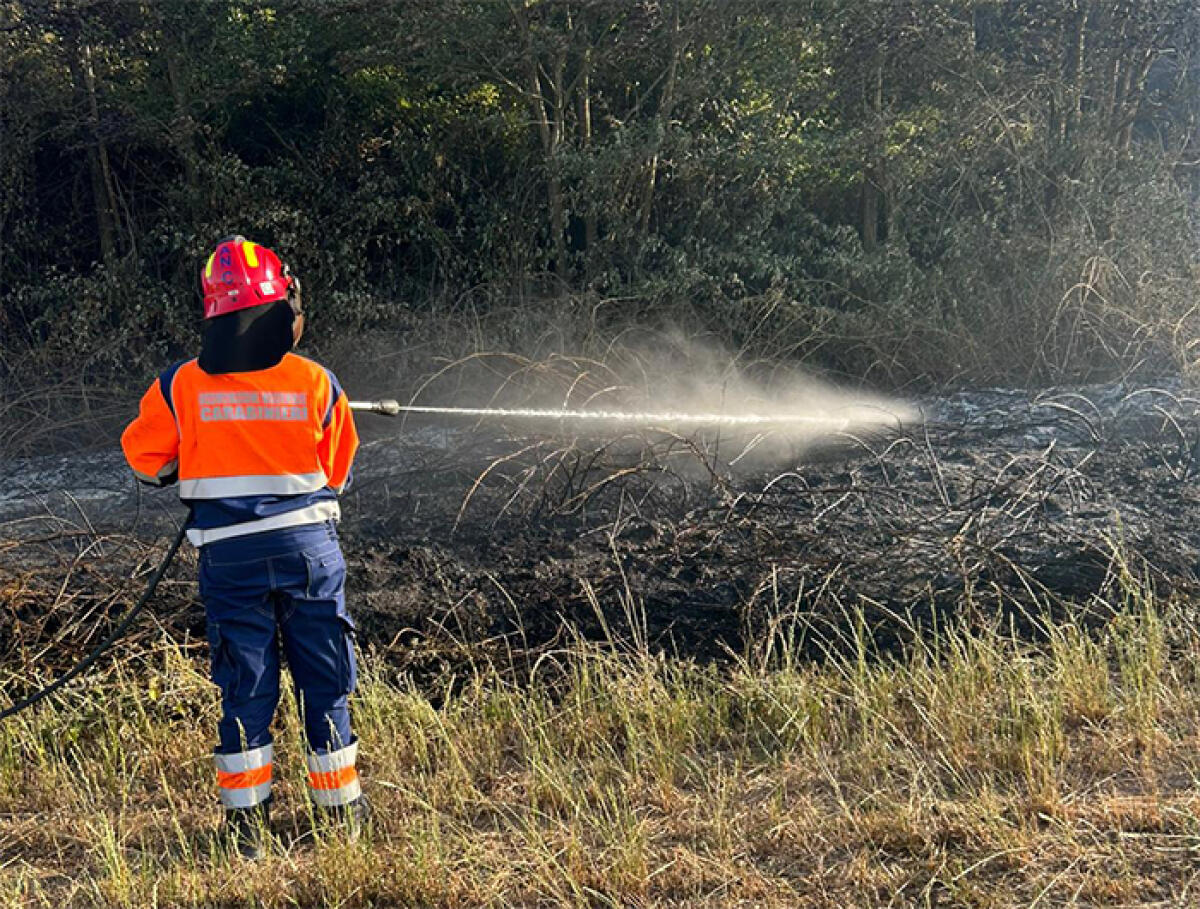 Caldo e fiamme ad Aprilia: tre incendi nel giro di poche ore. - 