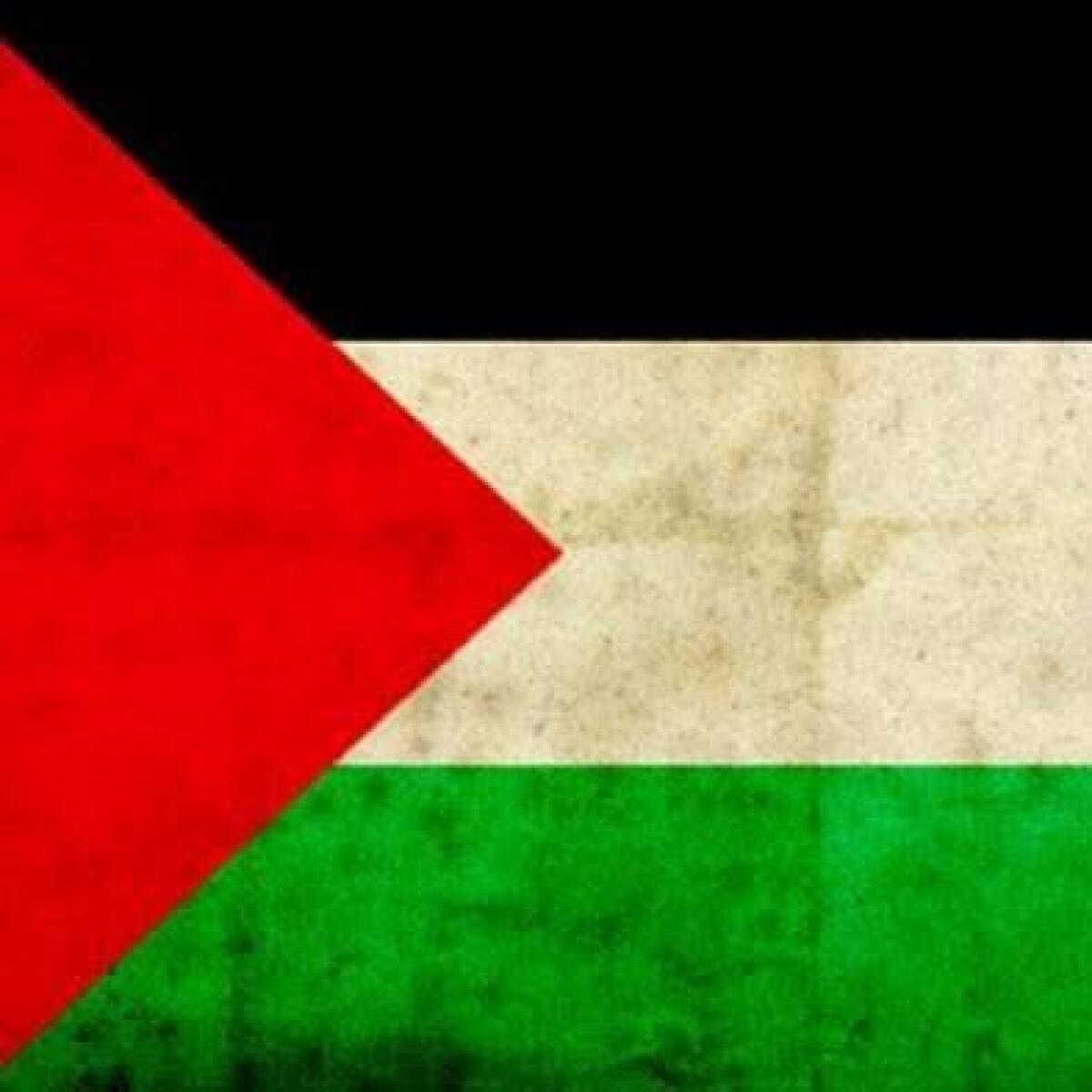 Genzano: approvato ordine del giorno sulla Palestina - 