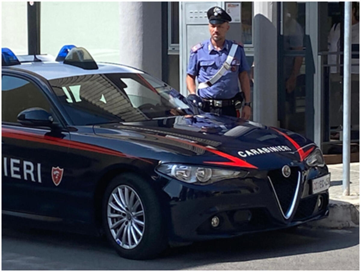 Entra in un negozio di Aprilia e ruba 300 euro di generi alimentari. 20enne denunciato dai Carabinieri. - 