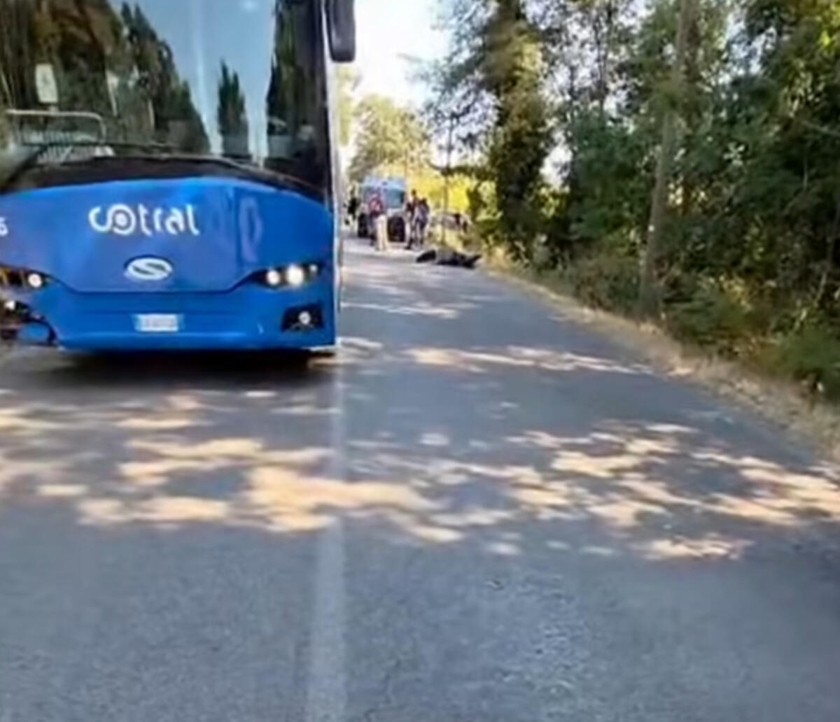 DRAMMATICO INCIDENTE A SABAUDIA: MUORE 15ENNE COLPITO DA UN PULLMAN - 
