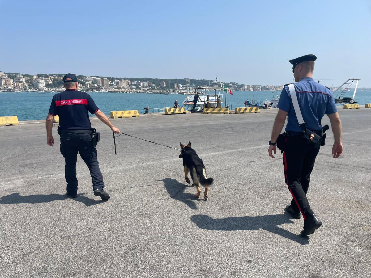 Anzio - Alto Impatto: un arresto, 4 denunce e multa da 17mila euro - 