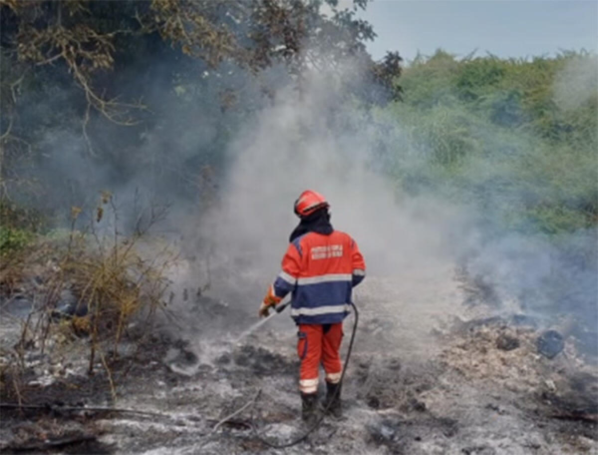 Incendio boschivo a Fontana di Papa, a Cecchina. Fiamme anche ad Ardea. - 