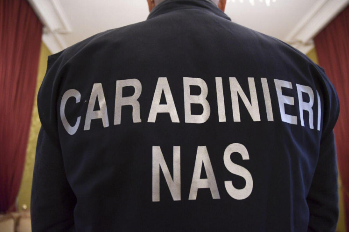 Controlli del Nas di Latina, sospese strutture ricettive e attività alimentari - 