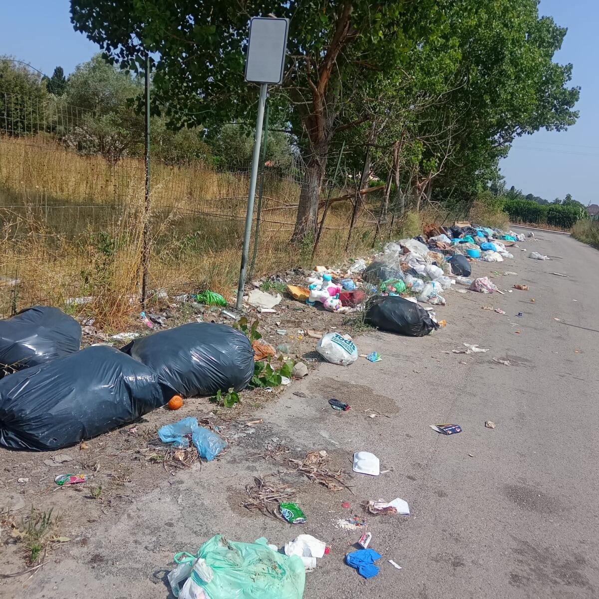 Aprilia - Cittadini di via Genio Civile lottano contro il degrado: "Manca anche la fibra" - 