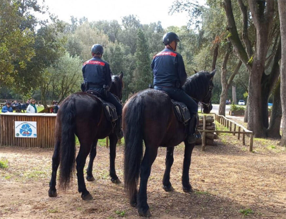 Controlli dei Carabinieri a cavallo negli ambienti protetti del Parco Nazionale del Circeo. Elevate 27 sanzioni. - 