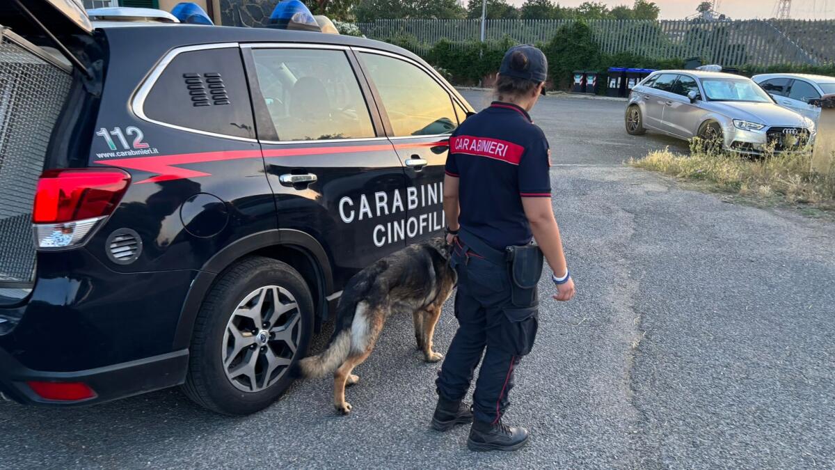 Dipendente irregolare in uno stabilimento balneare di Ardea, attività sospesa - 