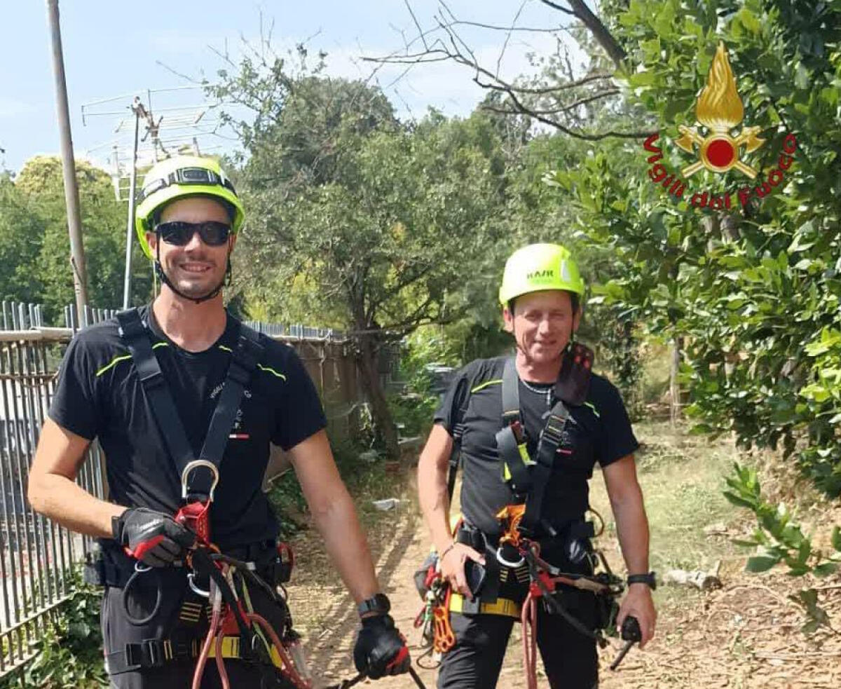 Cade nel fosso insieme al cane, ritrovati dopo 24 ore - 
