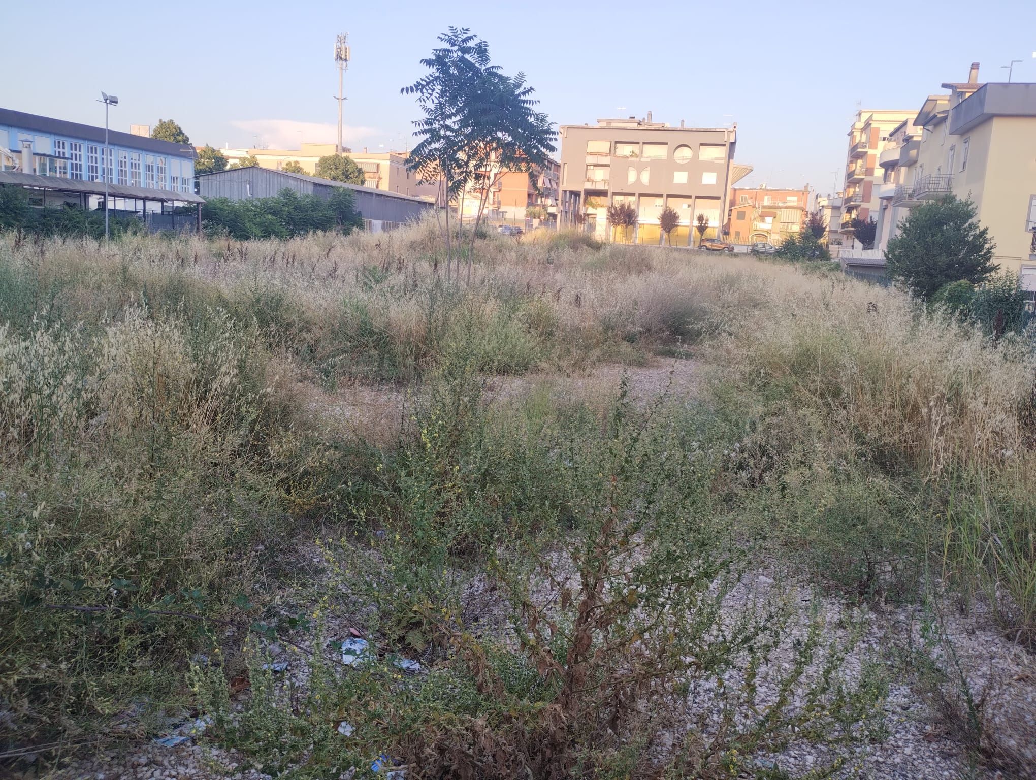 l’area tra via Margherite e via dei Mille ad Aprilia