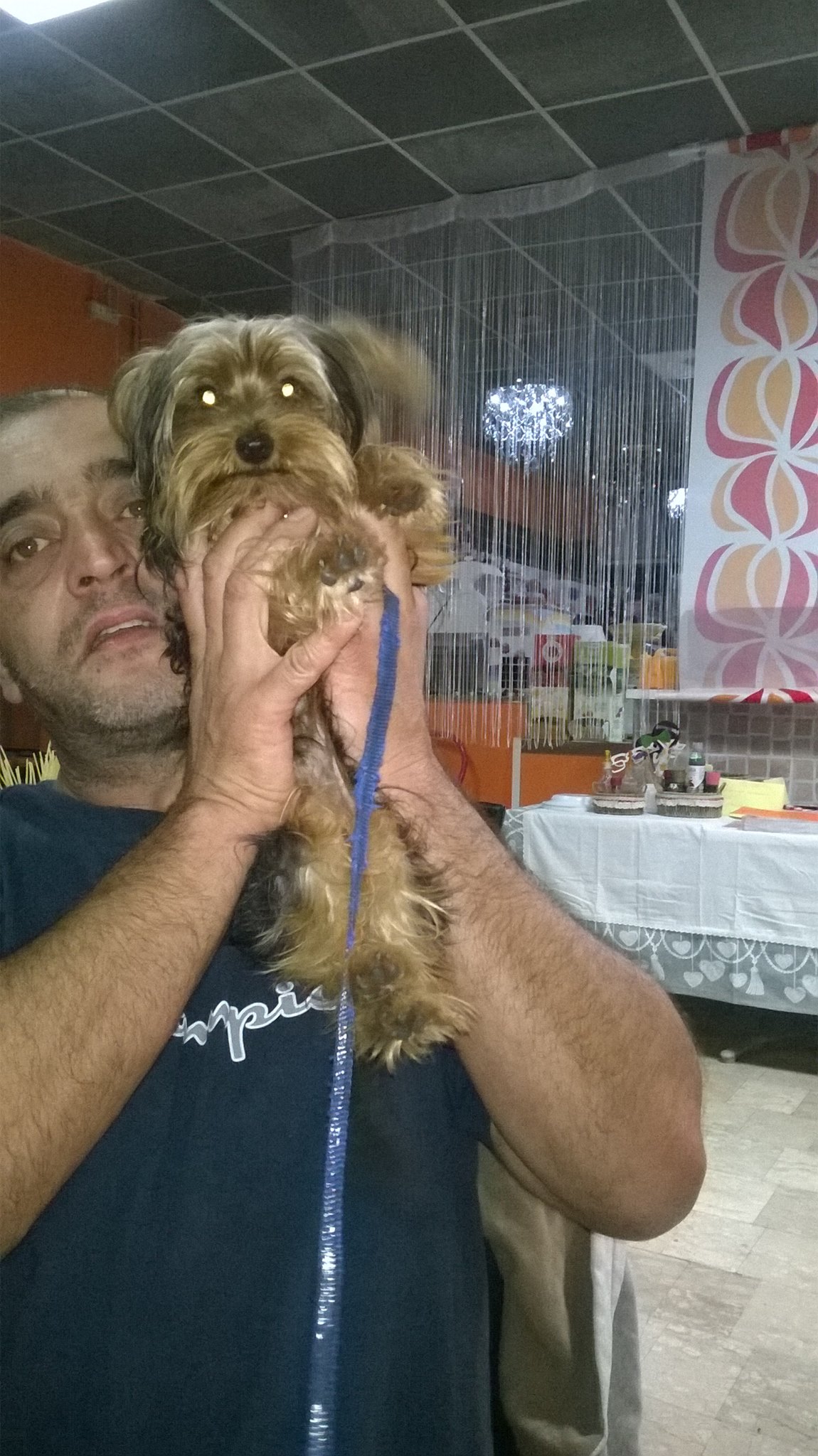 la vittima, Germano Riccioni