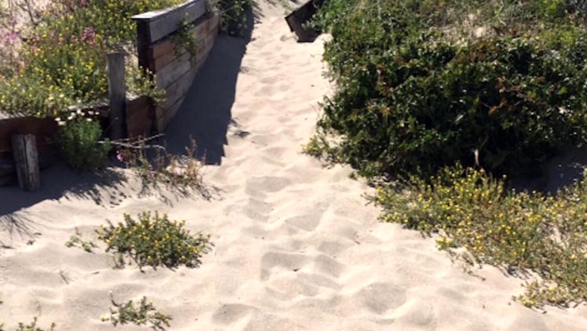 Assegnati i chioschi delle spiagge libere di Castel Porziano - 