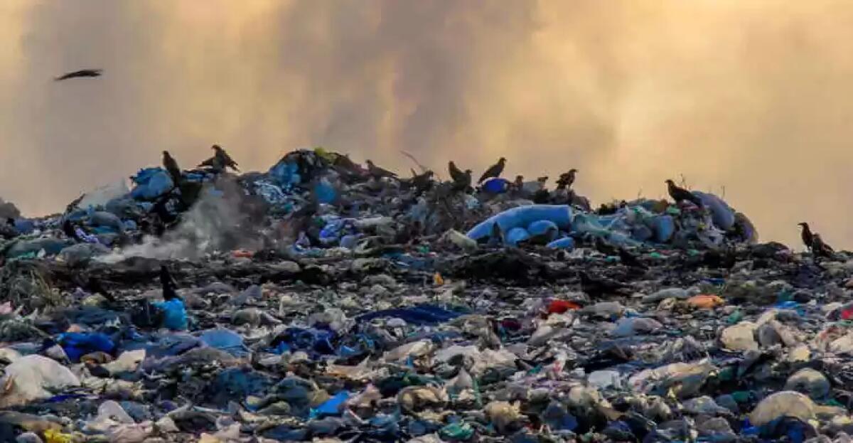 Ecomafie, Calcerano-Ciacci (Europa Verde): "Reati in aumento nel Lazio, Regione non pervenuta" - 