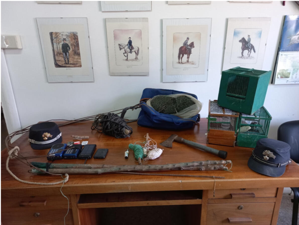 Bracconiere trovato con i cardellini nel sacco - 