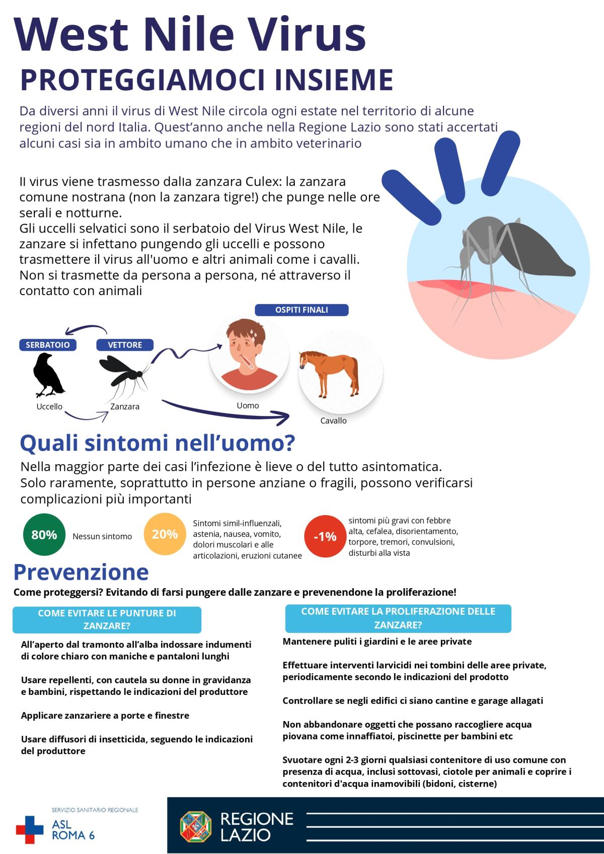 West Nile, Conferenza dei Sindaci della Asl Roma 6: “situazione sotto controllo”. Le indicazioni ufficiali. - 