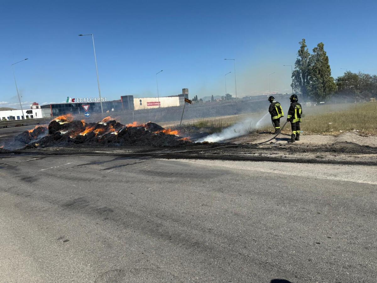 Raffica di incendi tra la Pontina, Aprilia 2 e Vallelata: duro lavoro per protezione civile e vigili del fuoco (FOTO) - 