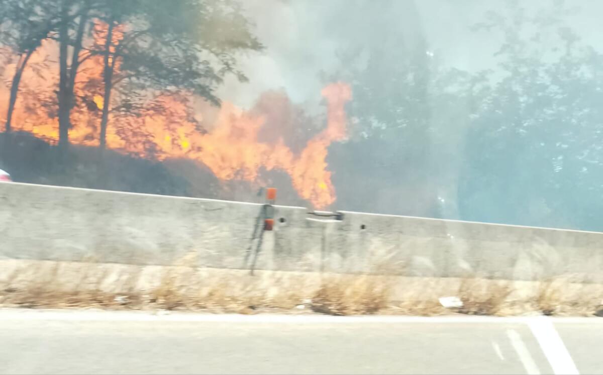 Lieto fine tra le fiamme della Pontina, soccorsa una mamma in attesa - 