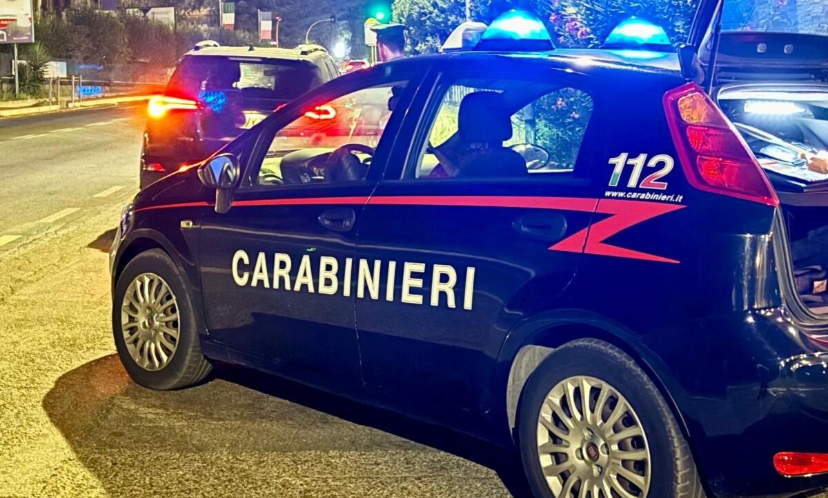 Controlli dei carabinieri a Nettuno: 83 persone identificate, multe e sequestri di droga - 