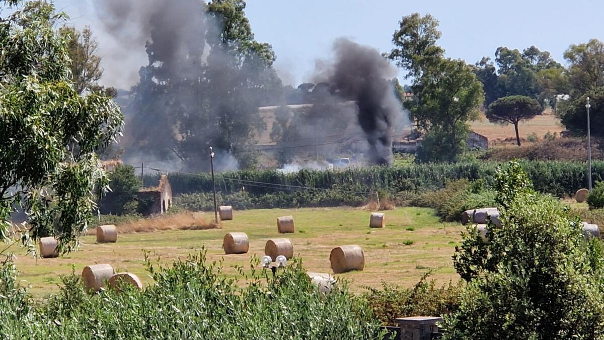 Di nuovo incendi ad Aprilia: roghi sulla Pontina Vecchia e sulla 148 - 